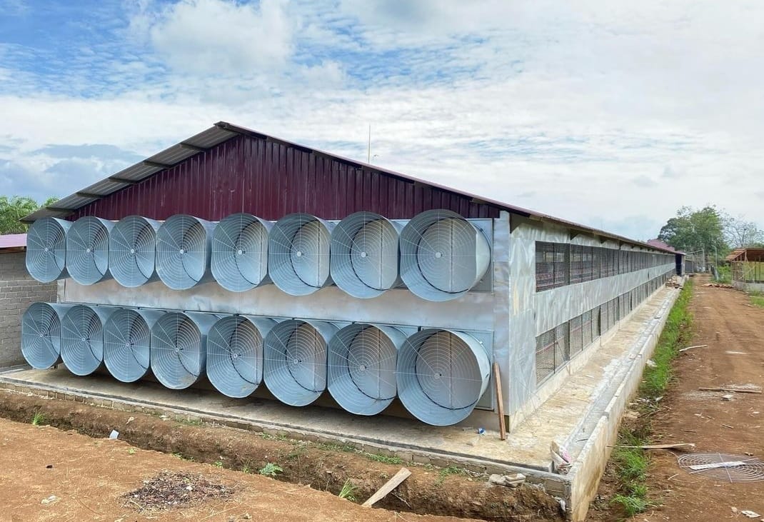 Kandang Closed House Big Herdsman - Padang Sumatra Barat