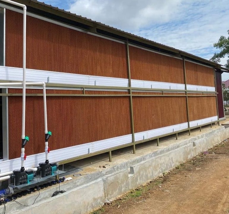 Kandang Closed House Big Herdsman Padang Cooling Pad