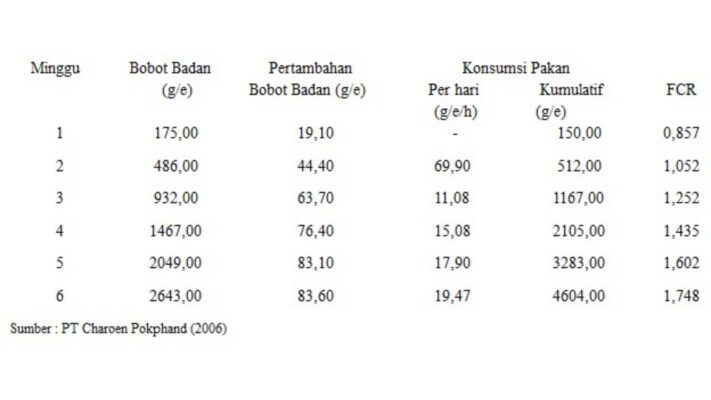 FCR Ayam Broiler