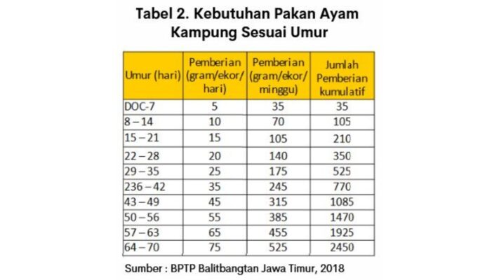 FCR Ayam Kampung
